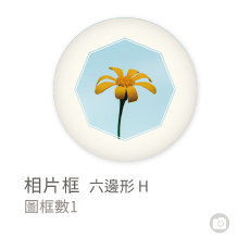 相片框_六邊形H