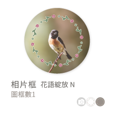 相片框_花語綻放N