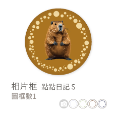 相片框_點點日記S