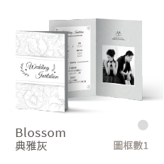 Blossom-典雅灰