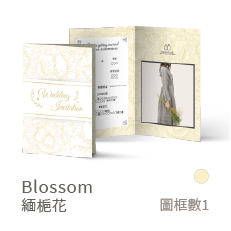 Blossom-緬槴花