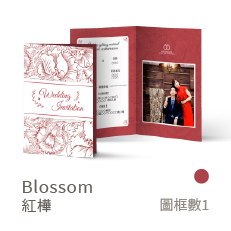 Blossom-紅樺