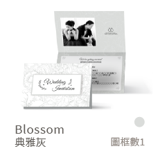 Blossom-典雅灰