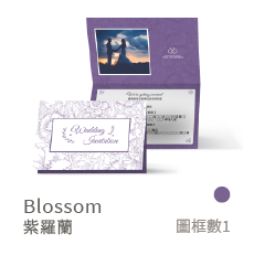 Blossom-紫羅蘭