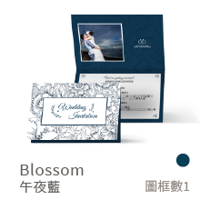 Blossom-午夜藍
