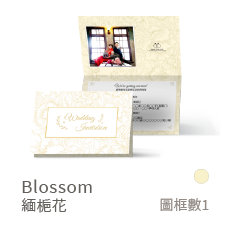 Blossom-緬槴花