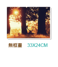 無框畫(4F)  33 x 24cm   